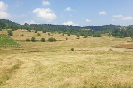 Čevljanovići spremni za najveću koridu na Balkanu: U udarnoj borbi bikovi poznatih porodica Brajković i Bajra