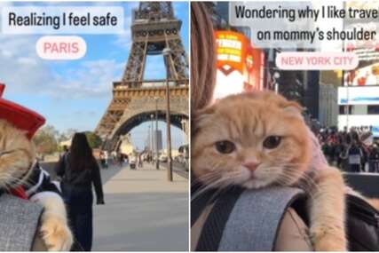 Video mačke koja na ramenu vlasnice putuje svijetom osvojio Instagram