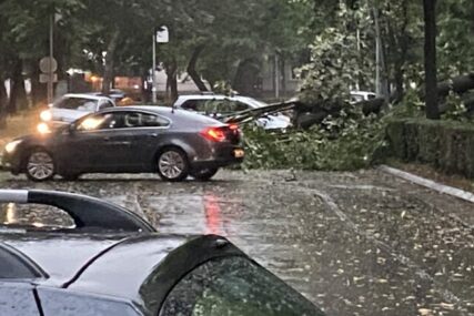 Oluja je stigla u BiH, vjetar čupa drveće... (FOTO+VIDEO)