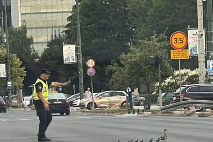 Ovo je najljepša fotografija danas: Policajac zaustavio saobraćaj kako bi patke prošle