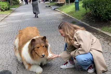 Potrošio gotovo 13.000 eura kako bi postao pas (VIDEO)