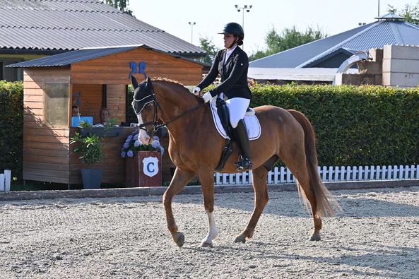 FOTO: FACEBOOK/LAZYHORSE
