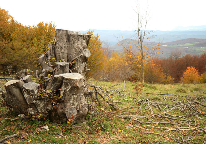 FOTO: SINIŠA PAŠALIĆ/RINGIER 