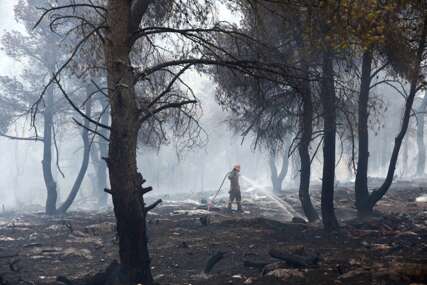 Meteorolog: Šumski požari doprinijeli pogoršanju posljedica poplava u Grčkoj