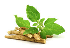 Ashwagandha: zašto je ne trebate uzimati