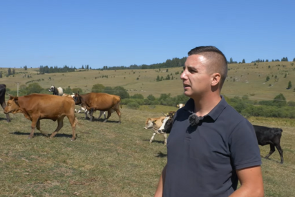 Prije 5 godina umjesto Golfa 7 kupio krave! Potez koji mu je promijenio život (VIDEO)