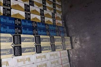 Neće mu više pasti na pamet: Pokušao unijeti u Hrvatsku 500 kutija cigareta, pogledajte koliku je kaznu zaradio (FOTO)