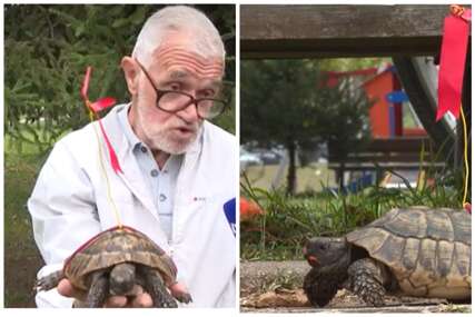 Prepoznatljiva crvena zastavica! Goran prije 40 godina spasio kornjaču i od tada su postali nerazdvojni