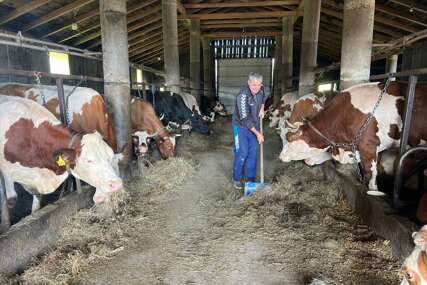 U 2024. manje krava, manje mlijeka - ko je najviše ugrožen?
