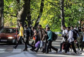 Vijeće ministara BiH: Povećan broj nezakonitih migranata