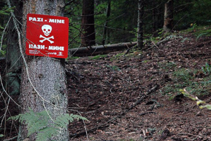 Bosanska Krupa: Sjekao drva u šumi, pa zalutao u minsko polje