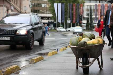 Neko se sprema za grickanje košpica: Kroz centar Sarajeva sa romanijskim tikvama u kolicima