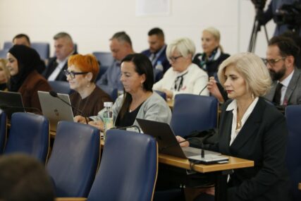 OŠTRO, IZ NAŠE STRANKE: Bešlija odgovorila Kapidžiću -"SDA je ostavila urbicid, mi pokazujemo rezultate..."