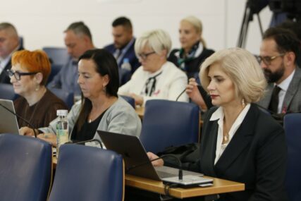 Bešlija: Oružje pod kontrolu, građane pod zaštitu