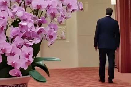 VIDEO hit na internetu: Vučić na summitu u Pekingu sam tumarao praznim hodnikom