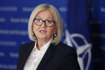 Krišto Evropskoj komisiji dostavila inicijalnu verziju dokumenta Plan reformi za BiH