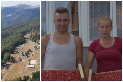 Bračni par iz Fojnice živi od prodaje šumskih plodova, dnevno zarade i do 300 KM (VIDEO)
