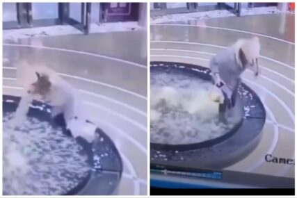 Ovo će pamtiti dok je živa: Djevojka se zagledala u telefon pa završila u fontani (VIDEO)
