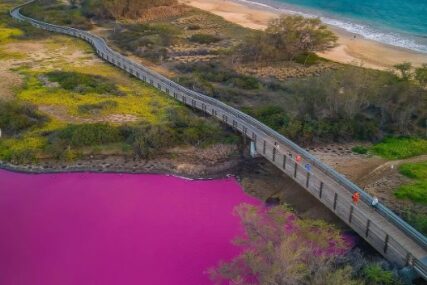 (VIDEO) Voda u malom jezeru na Havajima najednom postala ružičasta: Naučnici ne znaju šta se dešava