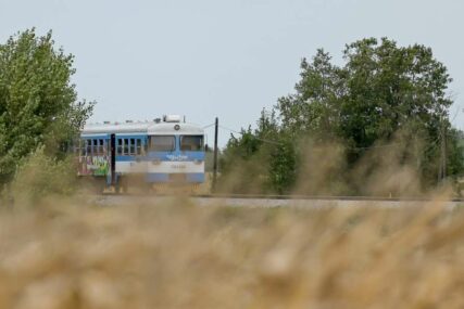 Voz između Srbije i Mađarske prometuje nakon devet godina