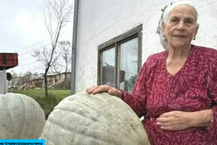 Nana iz Cazina uzgaja bundeve teške i do 50 kilograma (VIDEO)