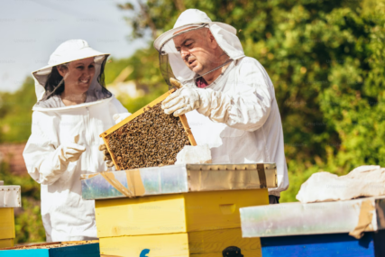 Pčelarstvo u Hercegovini suočeno s problemima zbog klimatskih promjena: Nužna promjena tehnologije