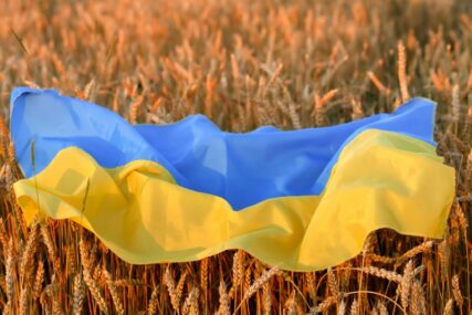 Lavrov: Amerikanci kupili više od trećine poljoprivrednog zemljišta u Ukrajini