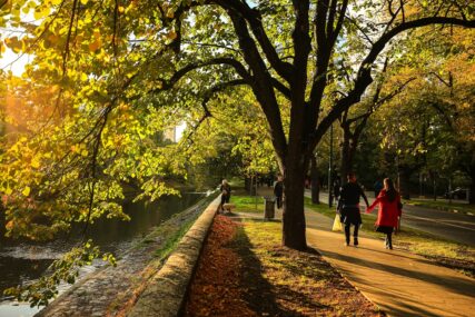 Sarajevo u jesenjem ruhu: Parkovi i ulice u zlatnožutoj boji (FOTO)