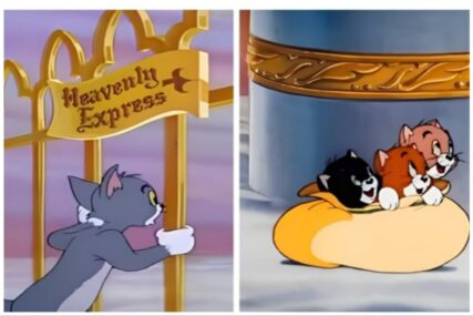 Scena iz crtića Tom i Jerry rasplakala ljude: Bili smo premladi da ovo shvatimo