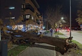 Strašno nevrijeme u BiH: Vjetar ruši stabla