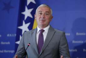 Borenović u Parizu na sjednici Komiteta za migracije, izbjeglice i raseljene osobe PSSE