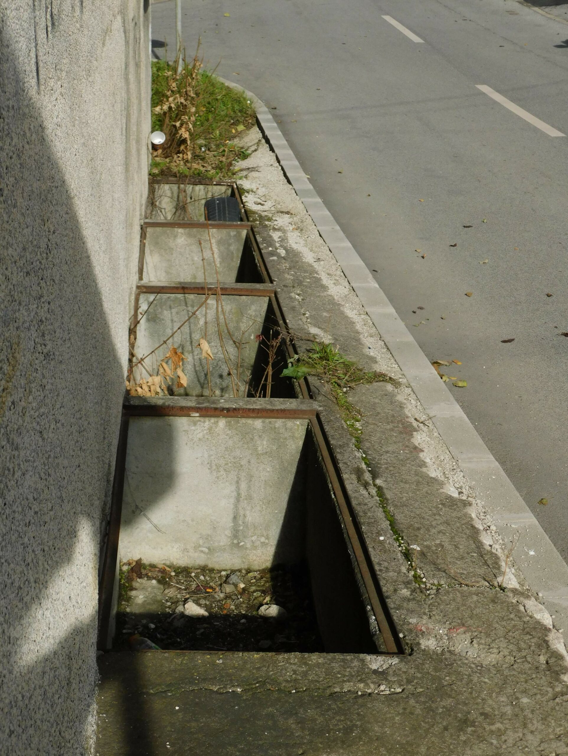 FOTO:  E. MURAČEVIĆ
