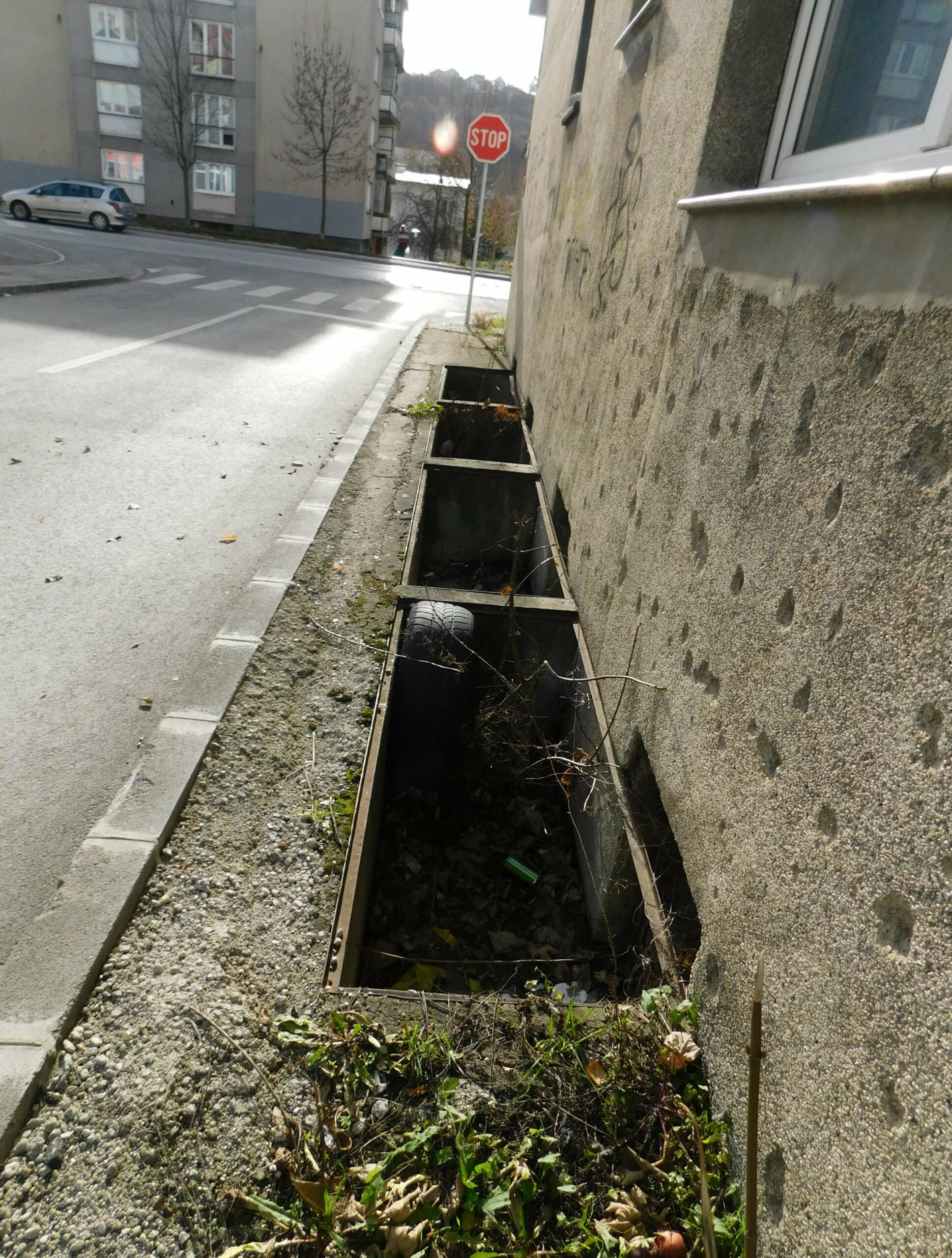 FOTO:  E. MURAČEVIĆ
