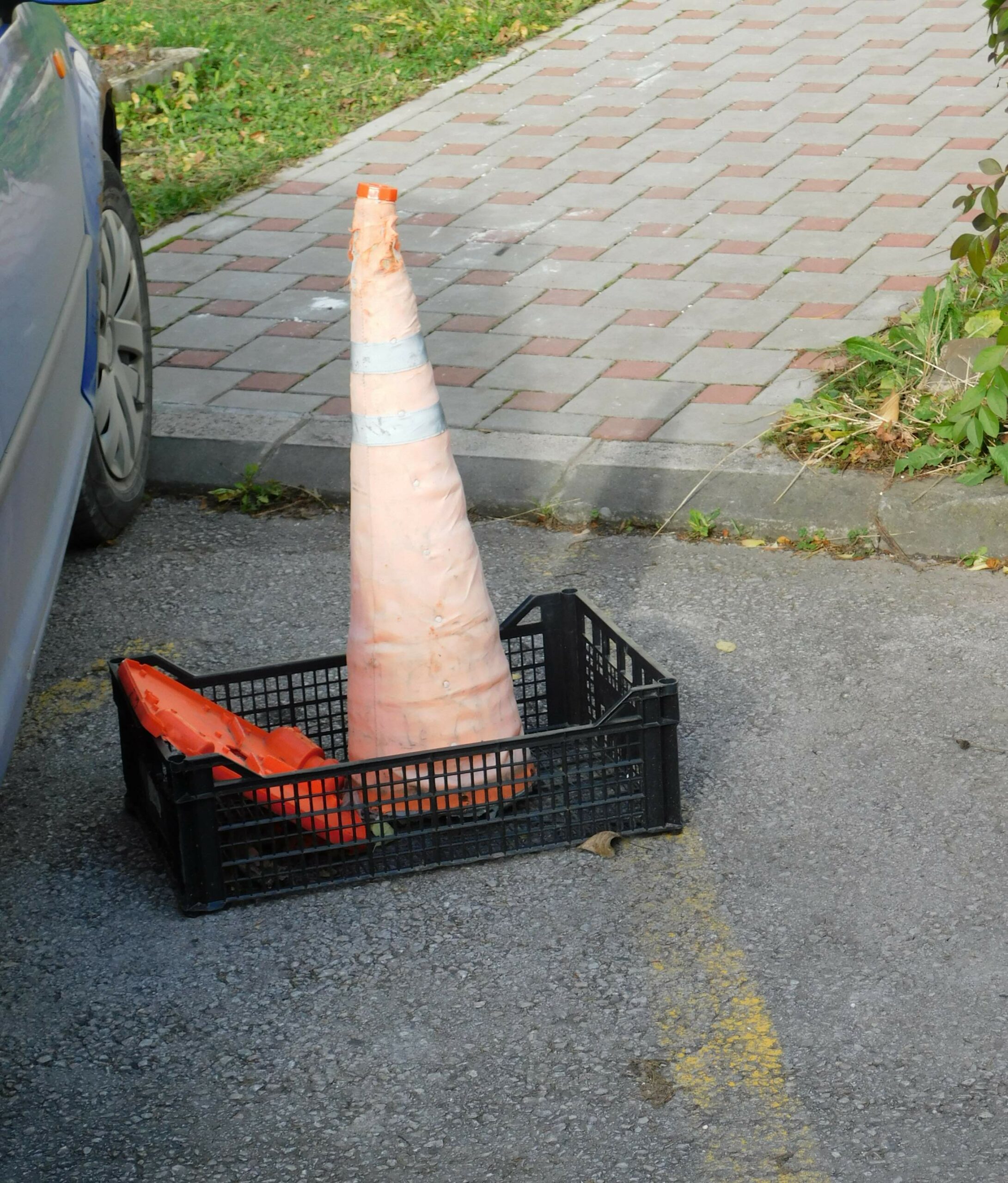 FOTO: E. MURAČEVIĆ