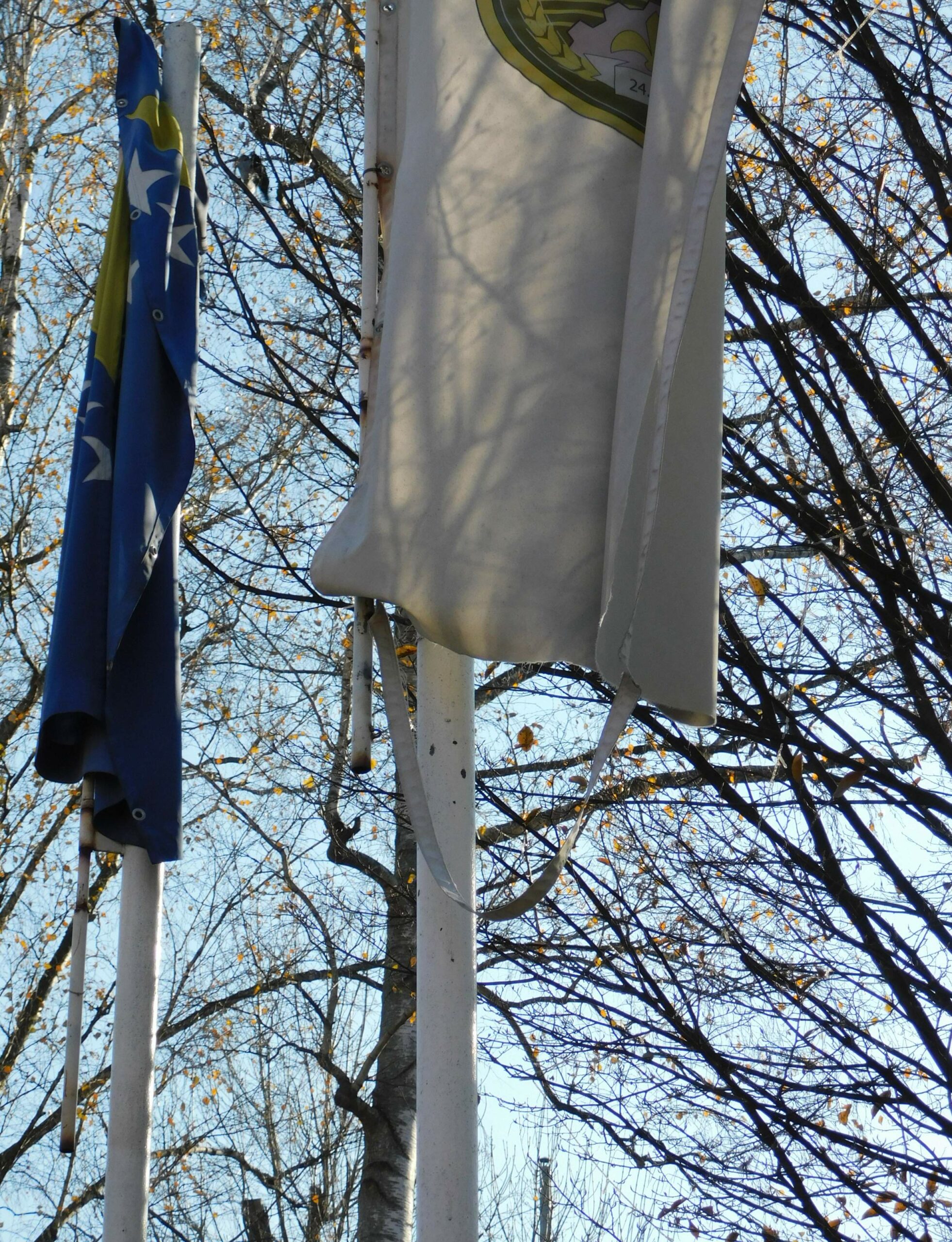 FOTO: E. MURAČEVIĆ