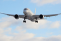 Avion na letu Istanbul - Sarajevo vraćen zbog udara ptice u kabinu