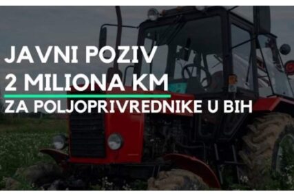 JAVNI POZIV: EU izdvaja 2 miliona KM za podršku poljoprivrednim gazdinstvima u BiH
