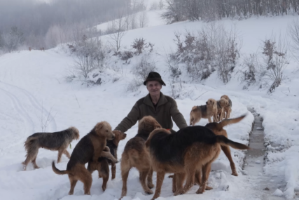 Dedo uzgaja lovačke pse u BiH, jednog je prodao za čak 5000 eura (VIDEO)