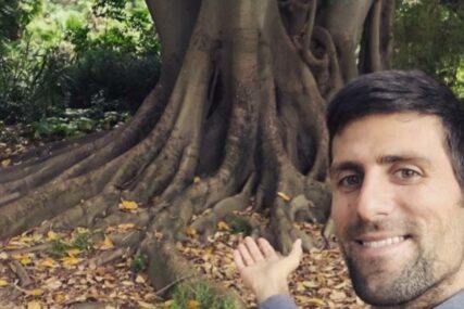 Novak Đoković otkrio: "Posebno sam povezan s jednim drvetom u Melbourneu"