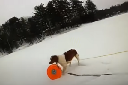 Pas pomogao u spašavanju vlasnika koji je kroz led pao u jezero (VIDEO)