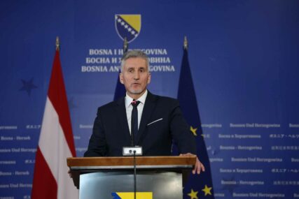 Ademović: 'Hvala Evropskoj komisiji, ali moramo još malo sačekati'