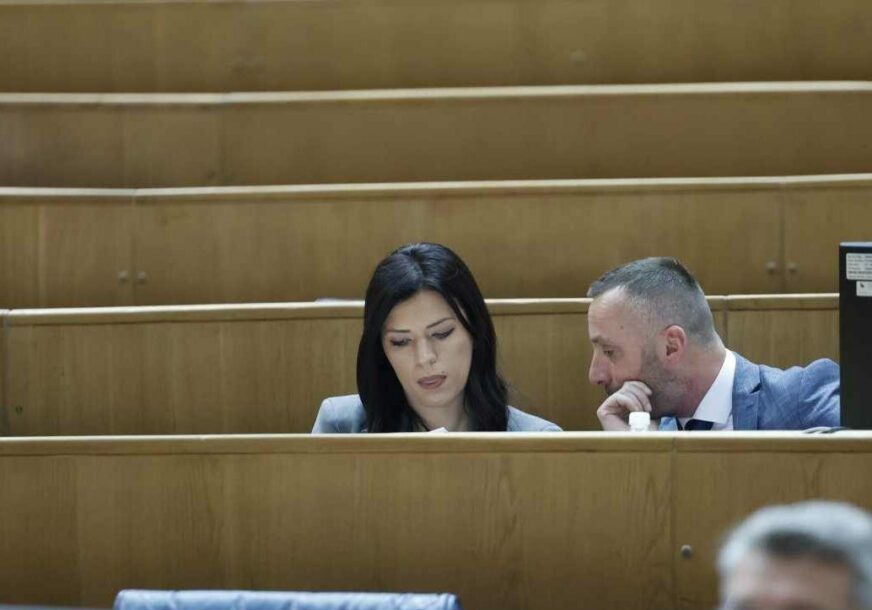 Sanja Vulić Predstavnički dom