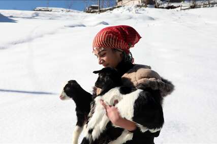 Hamdu Sena Bilgin