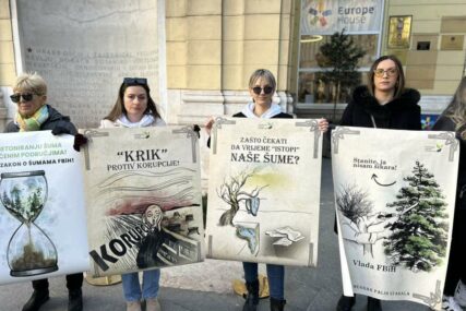 Protest u Sarajevu: Gdje je Zakon o šumama FBiH posljednjih 15 godina?