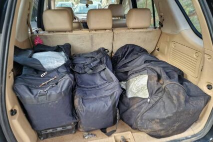 Na području Trebinja otkriveno 40 kg opojne droge skunk