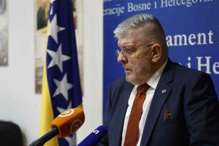 Mioković: FUP-u sugerirano da učini dodatne napore na suzbijanju organizovanog i narko-kriminala