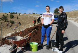 Mostarski učenici posadili 1.000 sadnica crnog bora