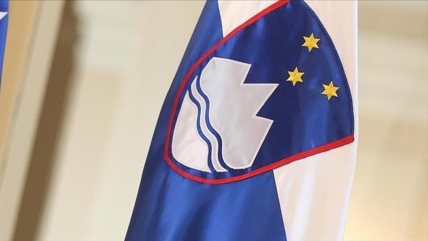 zastava slovenije ilustracija