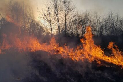 Vatrogasci cijelu noć gasili požar u selu Viškovići