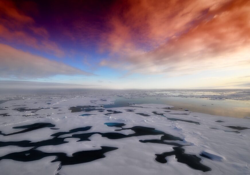 arktik bez leda